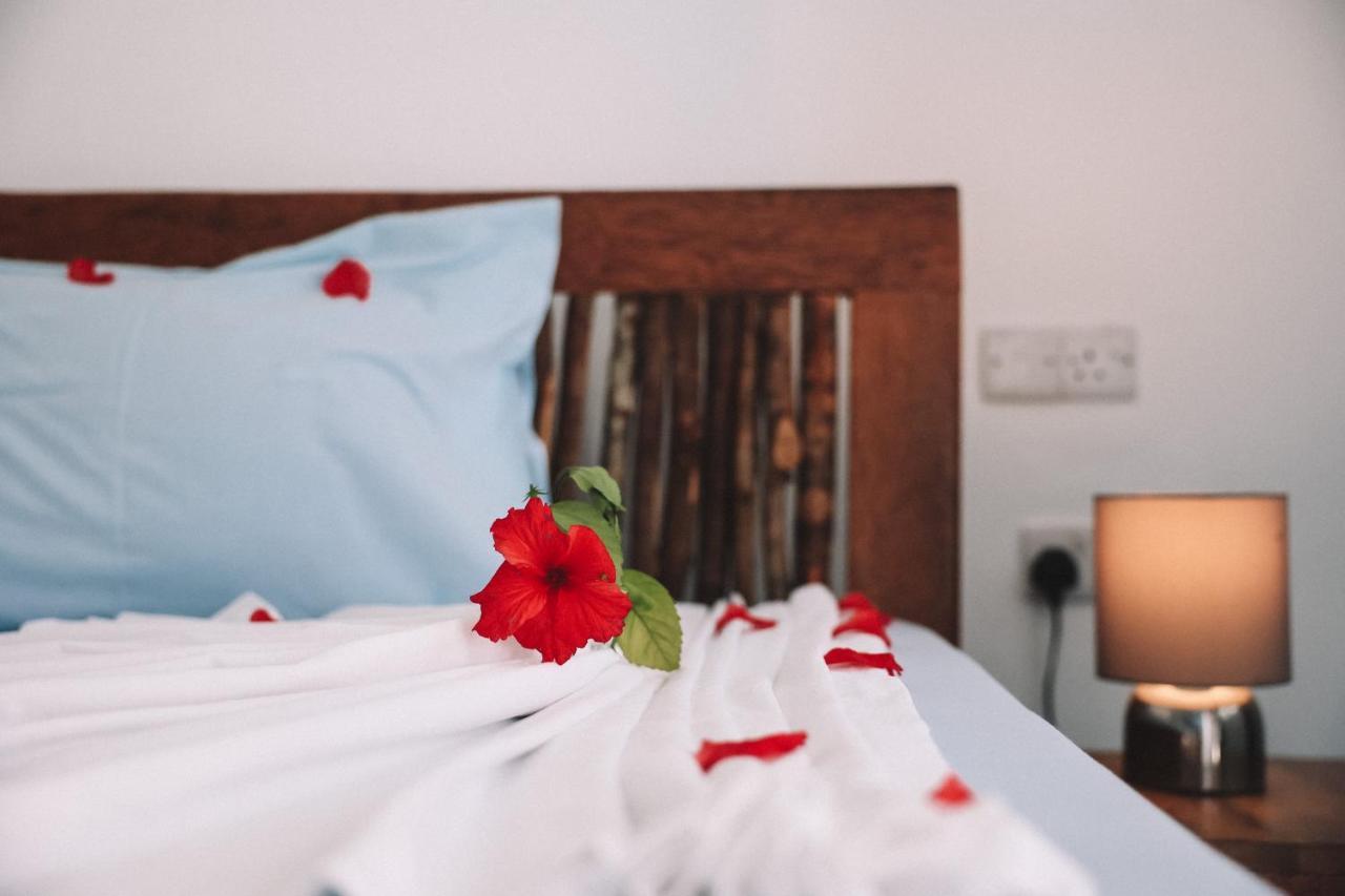 Zima Lodge Nungwi Zewnętrze zdjęcie