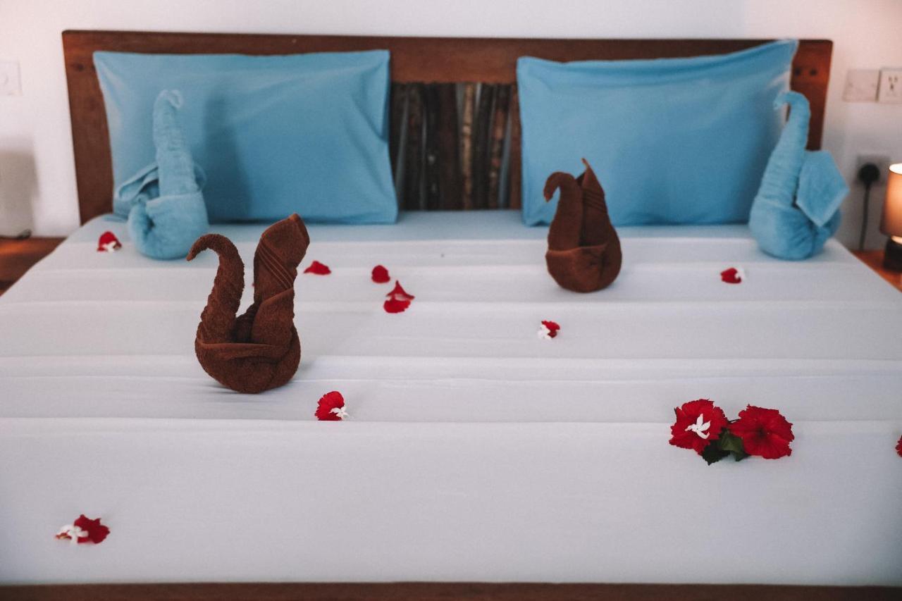 Zima Lodge Nungwi Zewnętrze zdjęcie