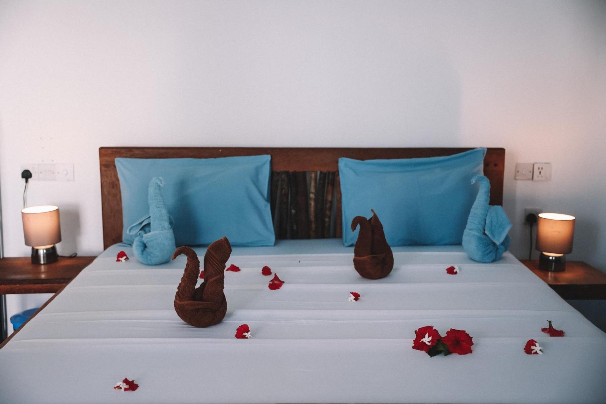 Zima Lodge Nungwi Zewnętrze zdjęcie