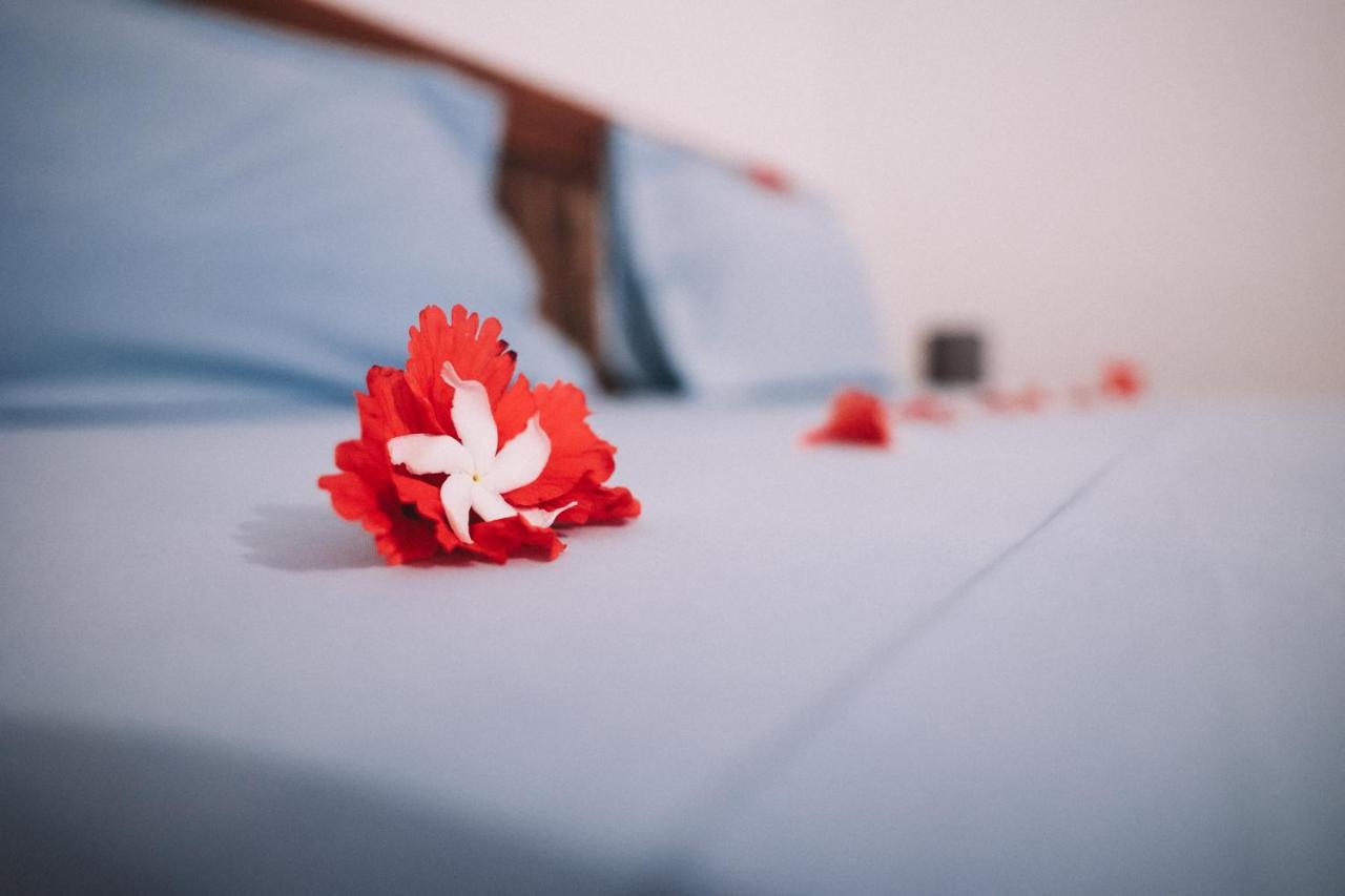 Zima Lodge Nungwi Zewnętrze zdjęcie